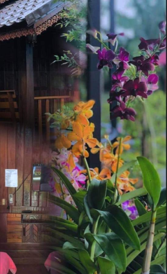 Kob Suk Resort K7 , K10 Sichon Bagian luar foto