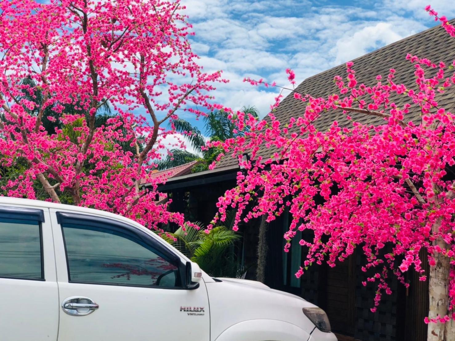 Kob Suk Resort K7 , K10 Sichon Bagian luar foto