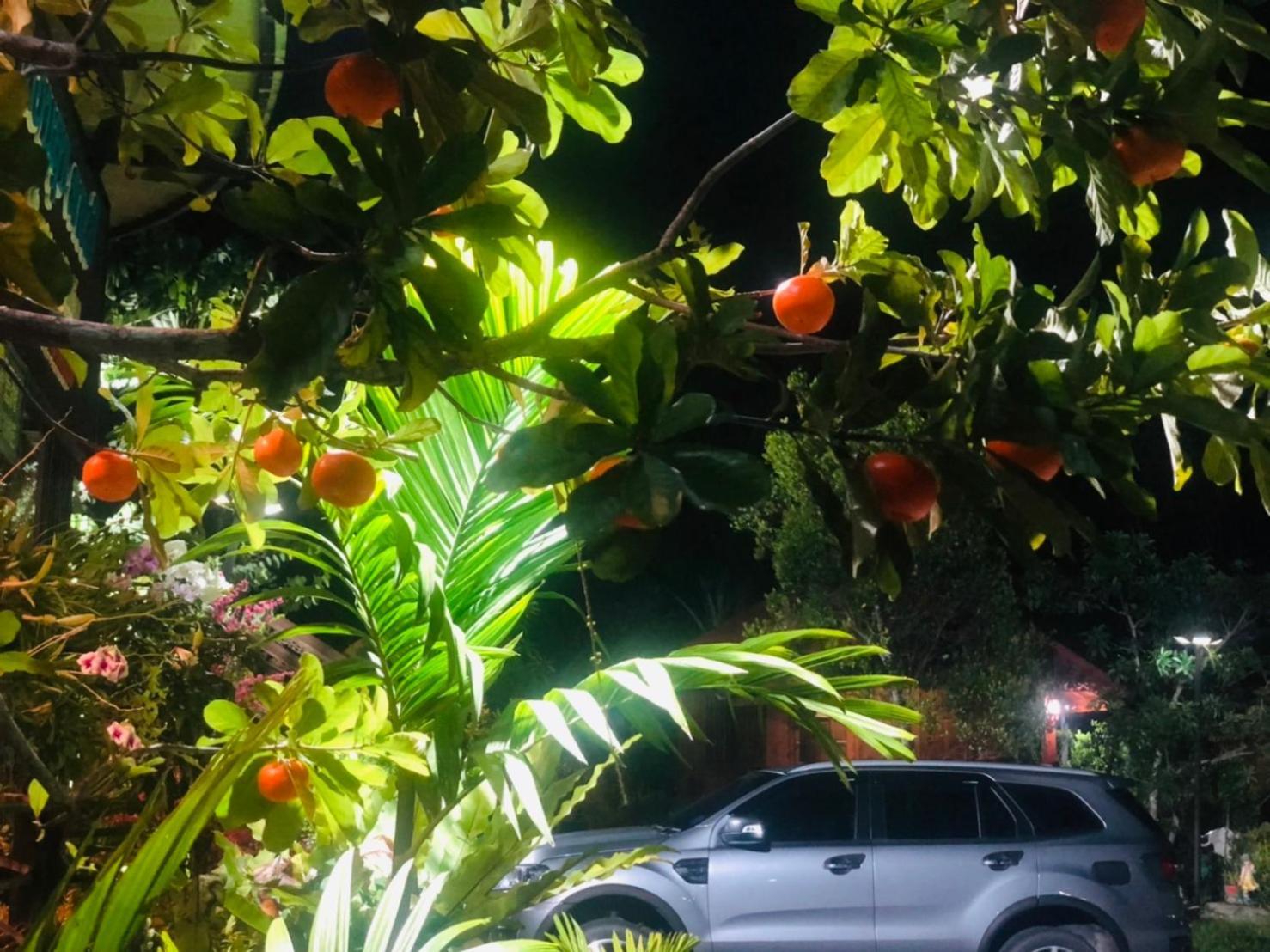 Kob Suk Resort K7 , K10 Sichon Bagian luar foto